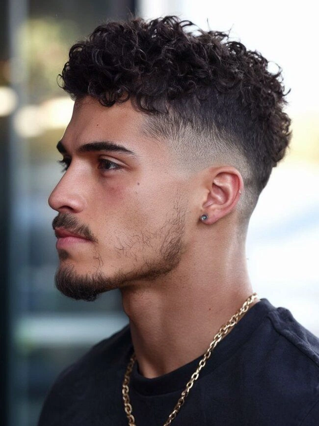 High Fade Curly Hair