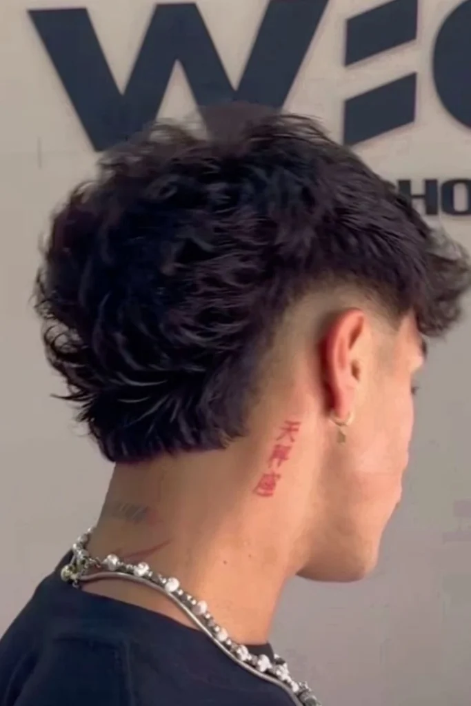 Low Burst Fade Mullet