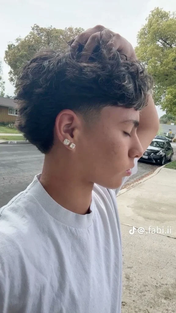 Mullet Fade Edgar
