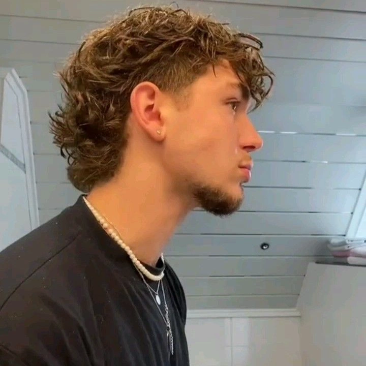 Taper Short Mullet Fade
